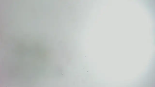 Emma_cartter1 即時 XXX 聊天