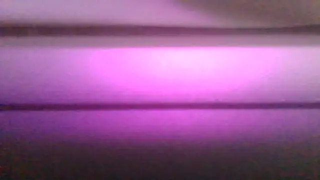 Show Webcam de kaimsdecadus555