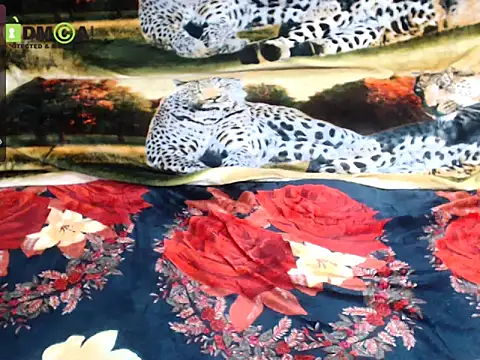 Chat +18 de Queen_Sarah ao vivo