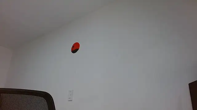 jaico_santosのウェブカメラショー