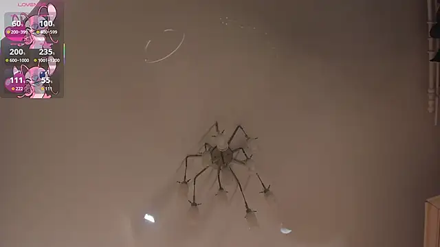 LisaColee 现场XXX聊天