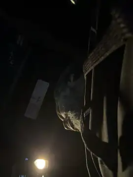 HaloRodeoLover2 웹캠 쇼