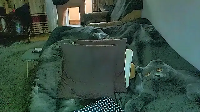 sex2 Adlı Modelin Canlı XXX Sohbeti