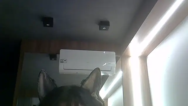 Sembang XXX Secara Langsung SkinnyKitten