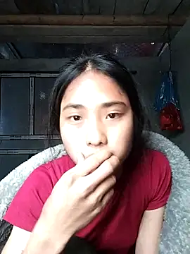 Hoa-tuylip Show Webcam