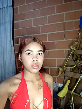 Show Webcam de mailin12