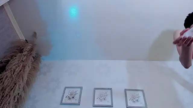 auranovan Webbikameraesitys