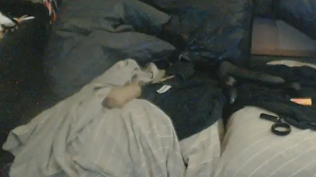 BISLETJE1980のライブXXXチャット