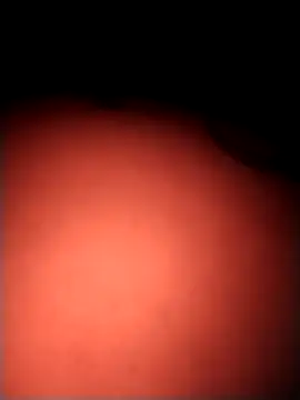 دردشة teilor_dreamse الجنسية المباشرة