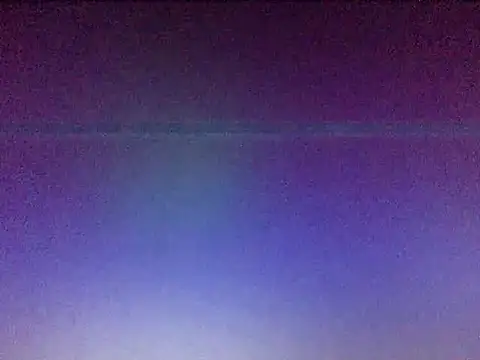 Flabia_Roses Chat XXX live