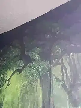 B4KINC: διαδικτυακό σόου στην κάμερα