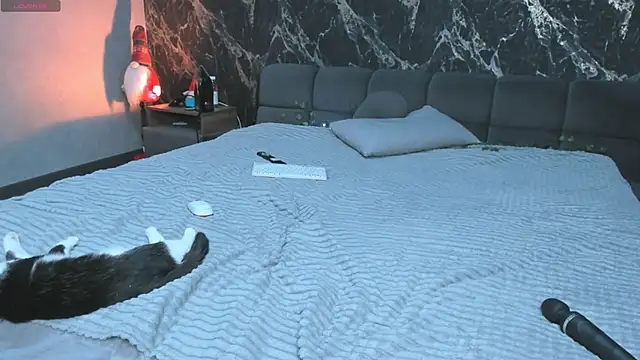 stella_torres élő XXX-chatje