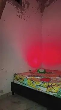 David_tatto1 élő XXX-chatje