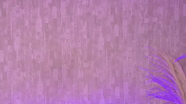 pixy_20: διαδικτυακό σόου στην κάμερα