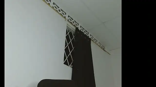 แชท XXX สดของ catalina_Ada