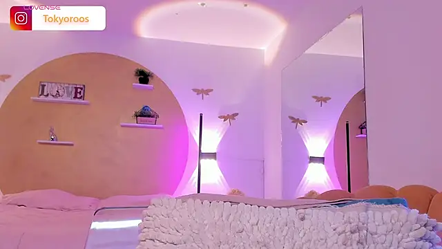 Show webcam de TokyoHaskel