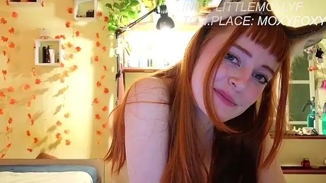 Chatroom XXX en direct de LittleFoxHole