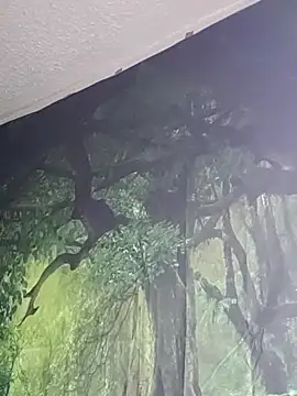 B4KINC: απευθείας συνομιλία ΧΧΧ