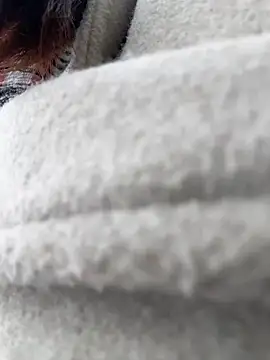 eveangelll Live XXX-chat