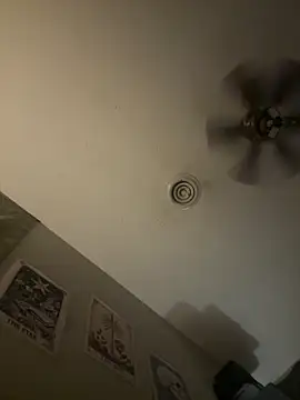 bubbleduck Live XXX-Chat