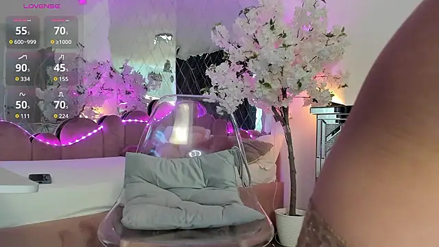 Chat +18 de adonawet ao vivo