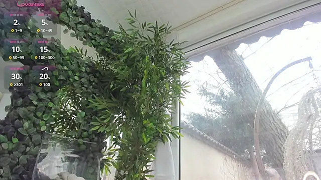 แชท XXX สดของ Lexi_Storm