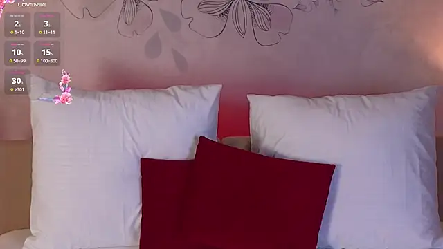 Aurora_404 网络视讯表演