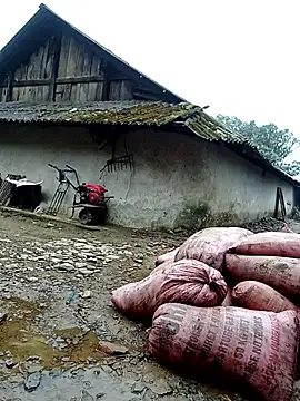 ngan-cute élő XXX-chatje