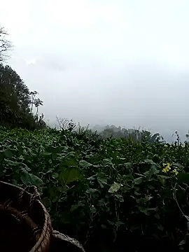 ngan-cute 라이브 XXX 채팅