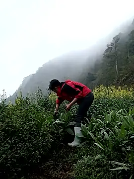 ngan-cute: απευθείας συνομιλία ΧΧΧ