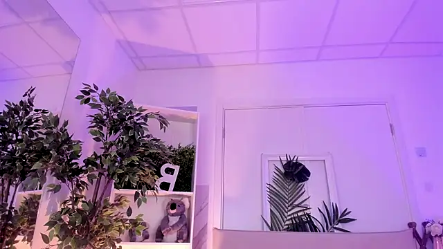 Synrix 现场XXX聊天