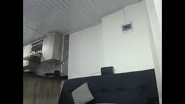 Nero_VanHelsing 现场XXX聊天