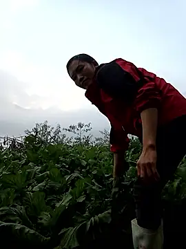 ngan-cute 现场XXX聊天