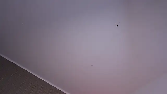 XXX chat uživo modela CleeoAdams_