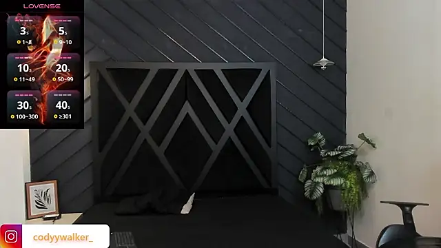 Show webcam de CodyWalkerR