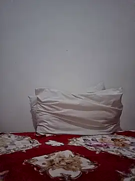 Show webcam de altinya