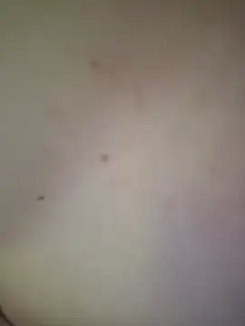 Chat XXX Live Butterfly_Lily