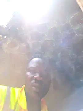 Petrossan Webbikameraesitys