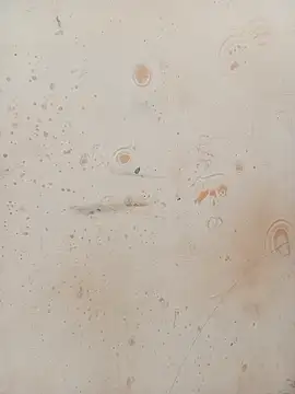 Sapna_baby1: вебкам-шоу