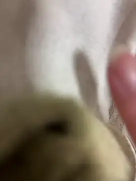 Živý XXX chat maonyan6