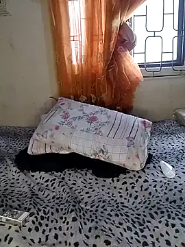 Show Webcam de Javel123