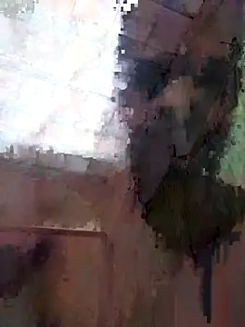 ferreirasantos123 webkamerás műsora