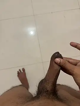 Joystar0017n Webbikameraesitys