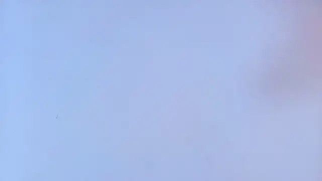 sharlott_miller élő XXX-chatje