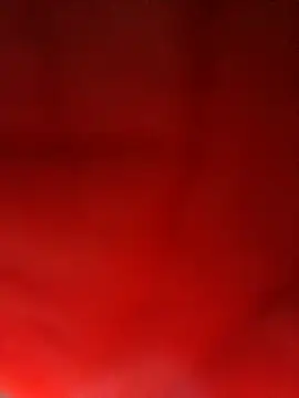 Živý XXX chat leandrogas