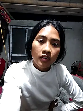 Hoa-tuylip Show Webcam