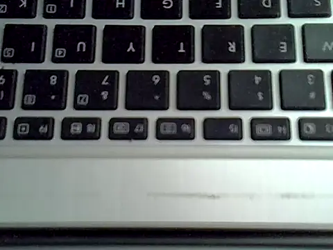 Delicious-D Webcam Show