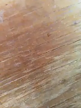 Chat XXX ao vivo de chrisdic27