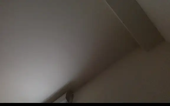 Feekeeh: διαδικτυακό σόου στην κάμερα