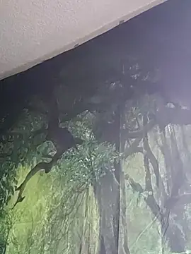 B4KINC Obrolan Langsung XXX